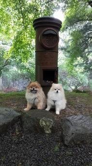 🏯 반슈 기요미즈데라(播州清水寺) 이미지 6